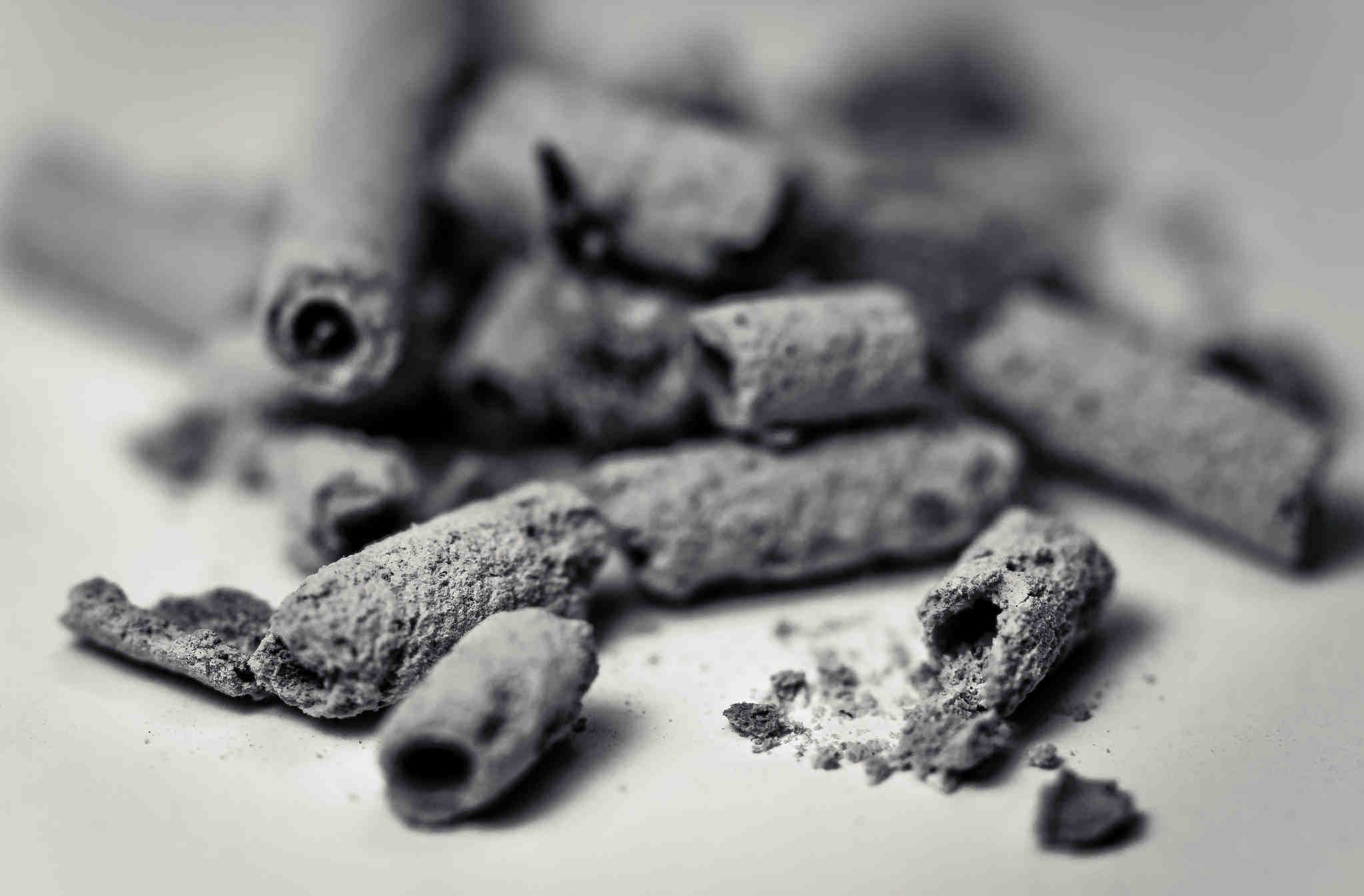 economia gabriele guzzi